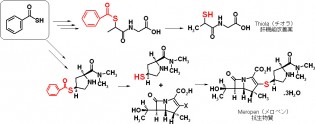 (Figure 2)